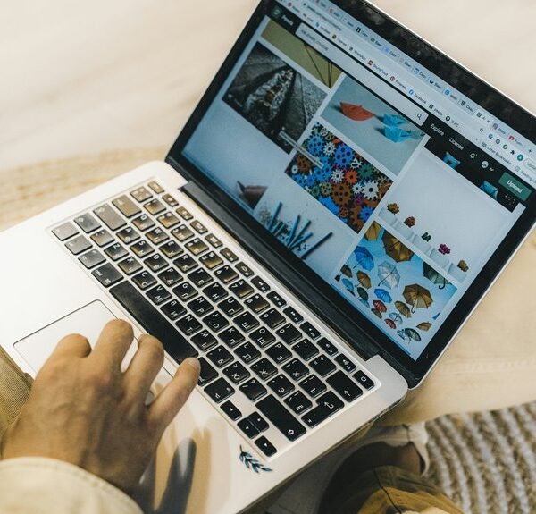 online professional web model