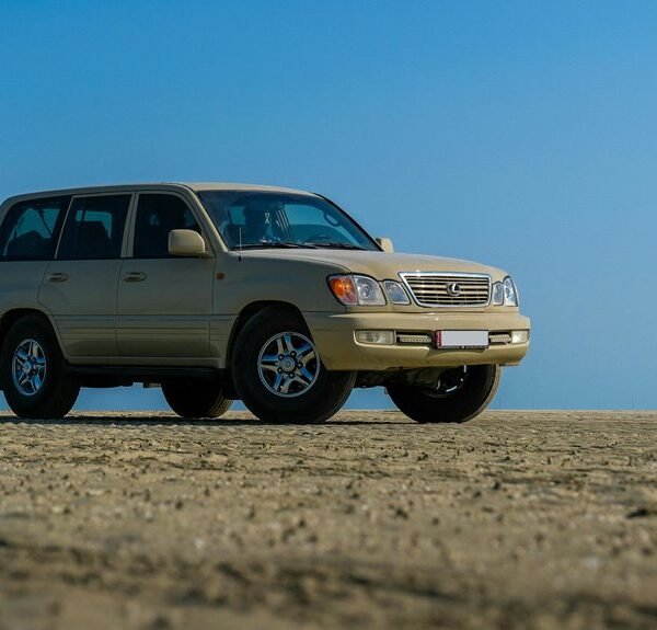 reliable stability online model