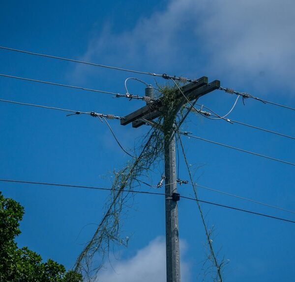 Smart Digital Infrastructure 1111234787 for Growth